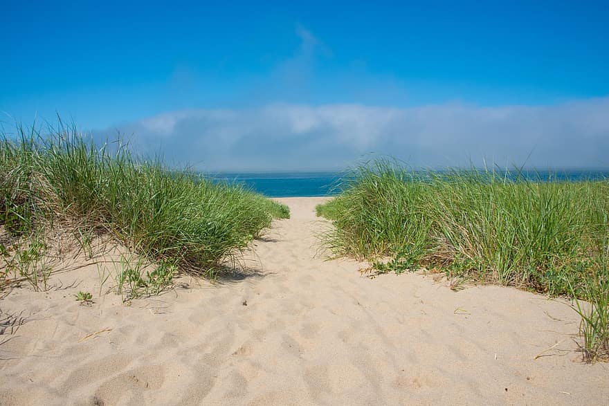 plaża, trawa, Zielony, niebo, niebieski, piasek, mohan, nannapaneni, ocean, morze, krajobraz