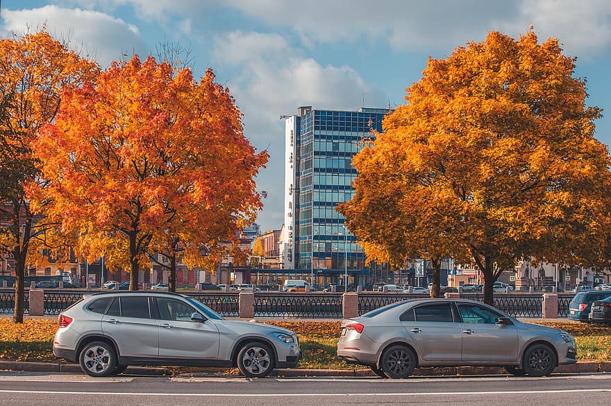 mobil, musim gugur, jalan, Rusia, st petersburg, jatuh, musim, urban, pohon, daun, Cityscape