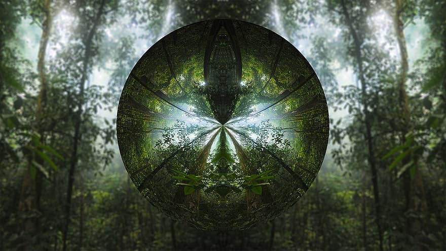 Tree, Circle, Lens, Forest, Green Forest, Green Tree