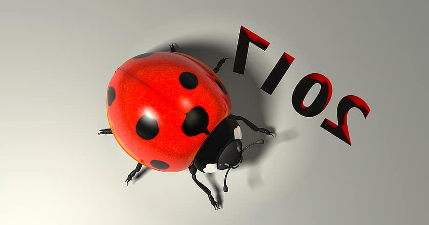 Luck, Lucky Ladybug, 2017, Good Luck, Ladybug, Beetle, Lucky Charm, Nature, Insect, 3d, Rendering