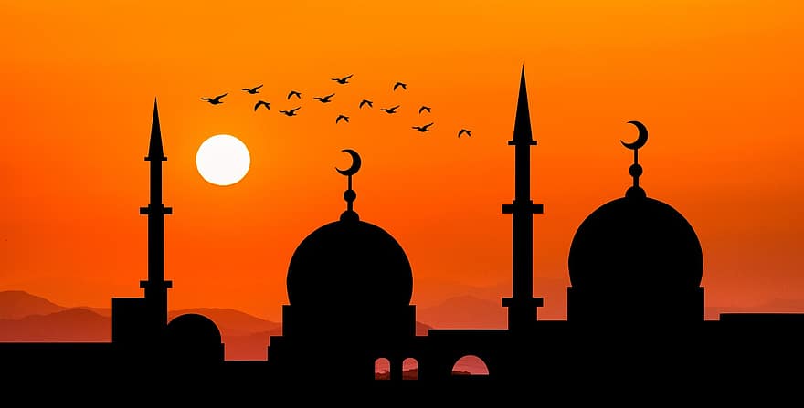 мечеть, сонце, сутінки, силует, помаранчеве небо, небо, захід сонця, сонячне світло, вечірній, ніч, птахів