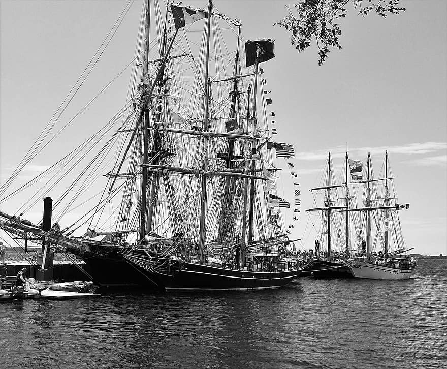 barcos altos, Puerto, lago Ontario, en blanco y negro, barcos, puerto, lago, Toronto