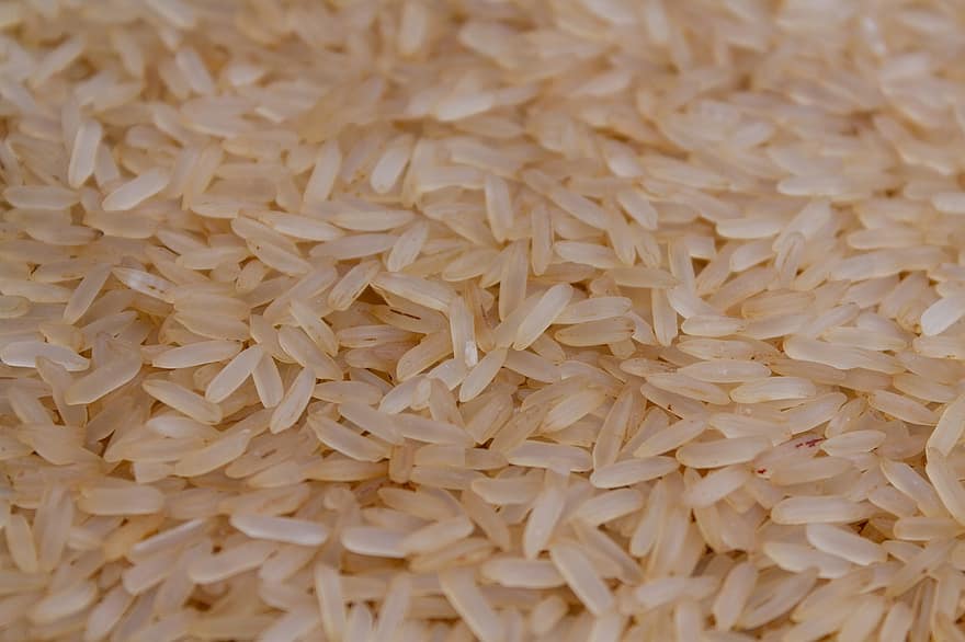 ris, korn, mad, brune ris, måltid, sund og rask, næring, organisk