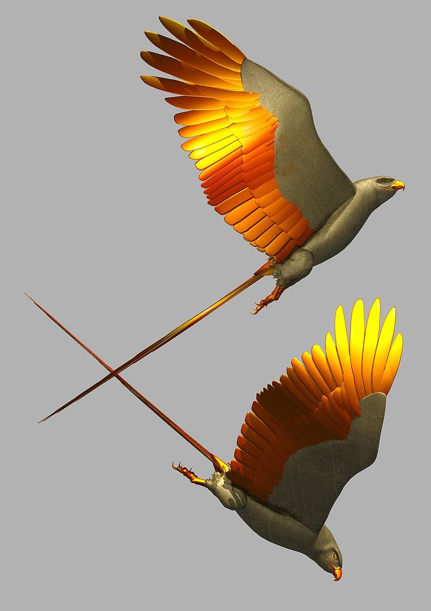 चिड़िया, फ्लाइंग, उड़ान, पंख, रचनात्मक, रंग बिरंगा, शैलीकृत