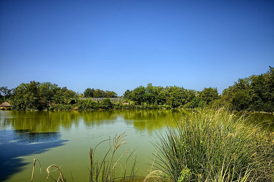 lago, lagoa, Parque de pássaros, Villars Les Dombes