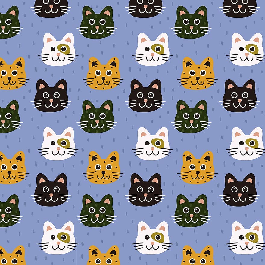 gatto, sfondo di gatto, animali, gattino, animali domestici, gattini, addomesticato, adorabile, bandiera, gatto nero, gatti