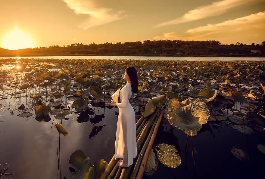 solnedgang, ao dai, modell, lotusblader, innsjø, vietnamesisk, kvinne, pike, lang kjole, posere, planter