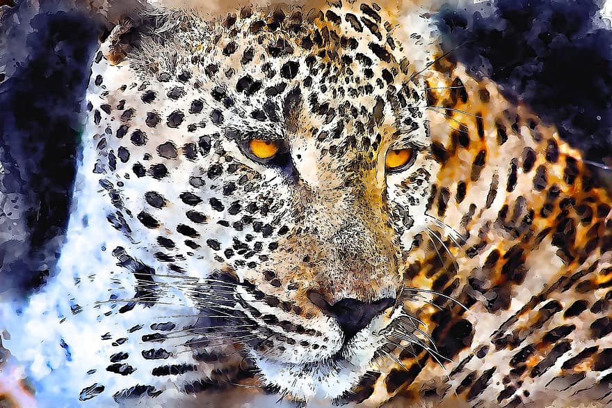 leopard, divoký, portrét, dívej se, vodové barvy, vinobraní, kočka, zvíře, oči, umělecký, emoce