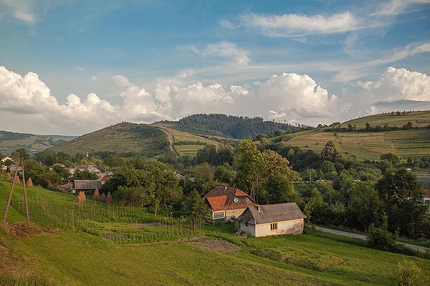 village, Ukraine, les montagnes, Carpates, maison, paysage, champ