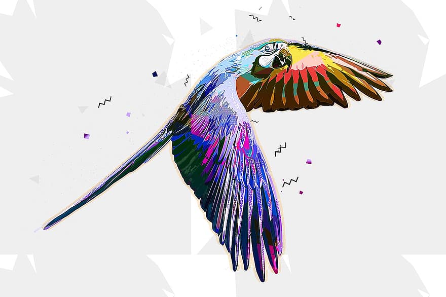 παπαγάλος, πουλί, ράμφος, φτερά, πολύχρωμα, μακώ, πετώ, άγρια ​​ζωή, εξωτικός