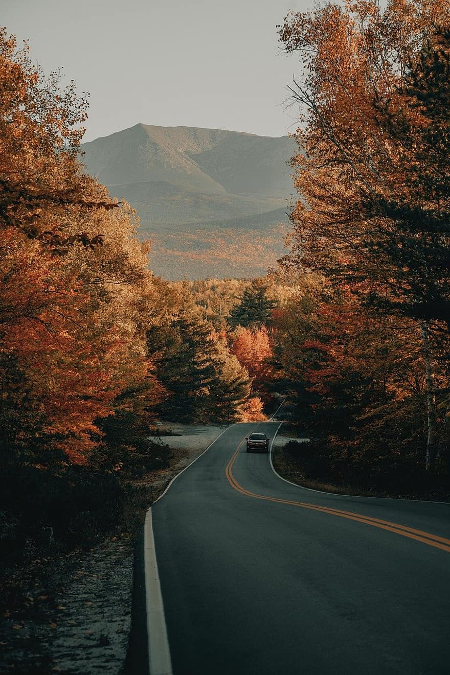 la carretera, campo, otoño, bosque, árbol, paisaje, escena rural, amarillo, asfalto, montaña, viaje