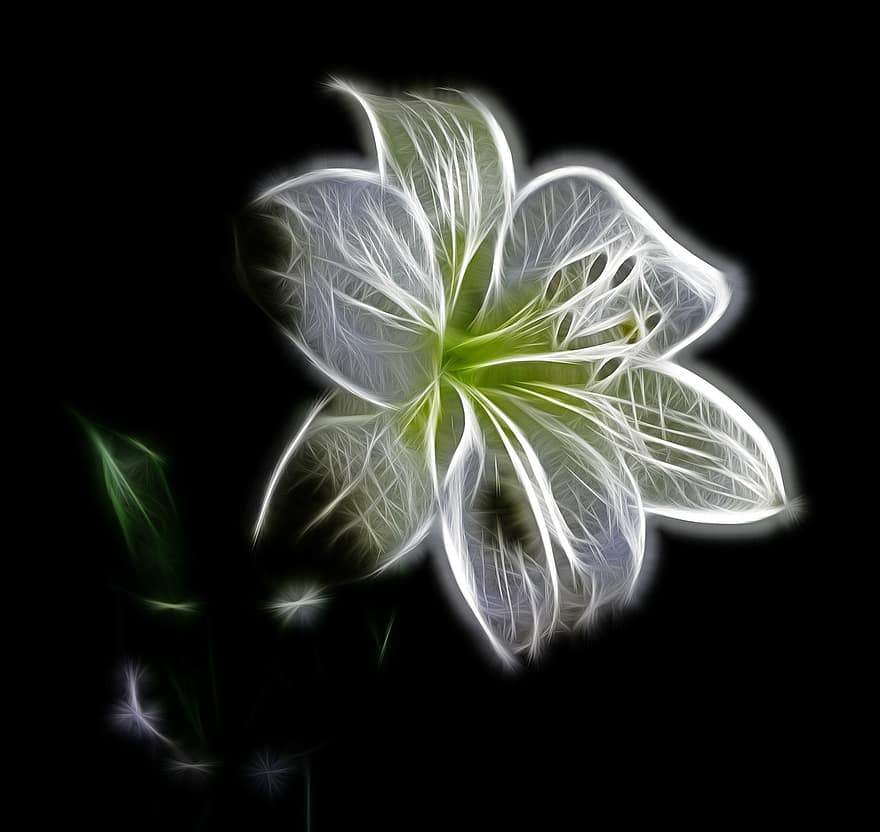 White, Lily, Flower, Nature, Beauty, Digital Art, Fractal, Filigree, Artwork, Abstract, Graphic