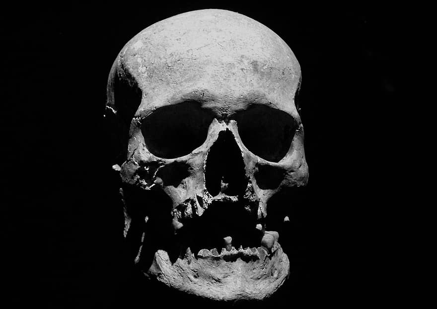 czaszka, zwłoki, halloween, szkielet, anatomia, szczęka, ludzka czaszka, śmierć, zęby, kość