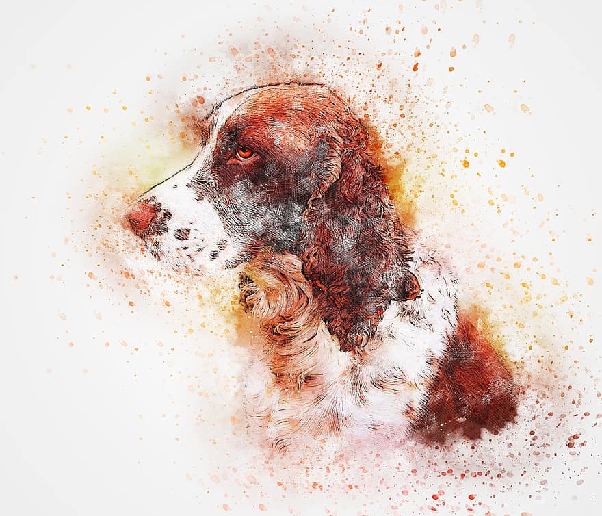 koira, muotokuva, spanieli, eläin, akvarelli, vuosikerta, pentu, lemmikki-, tunne, taide, taiteellinen