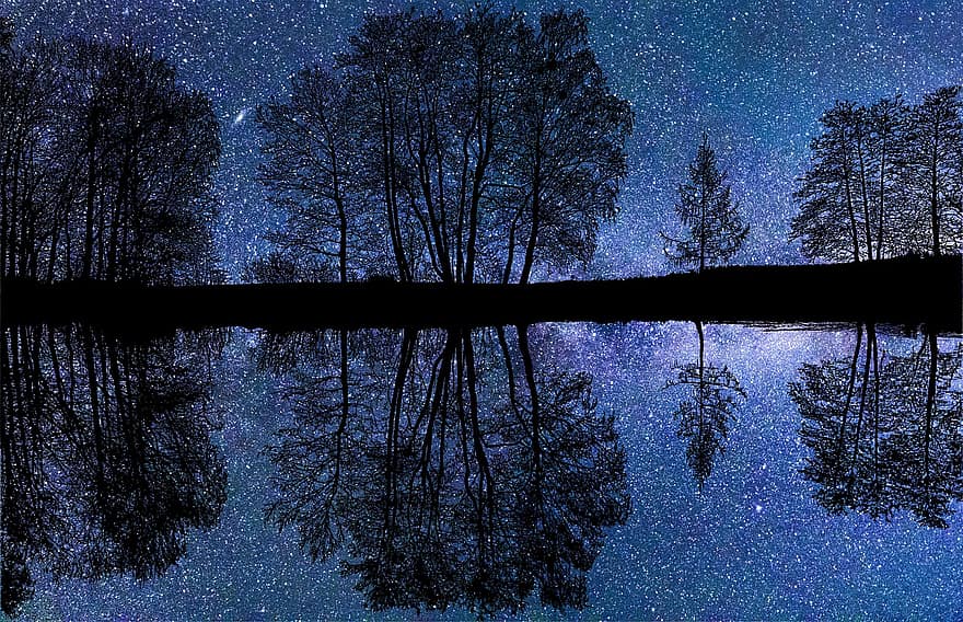 ночь, звезды, лес, отражение, лесок, воды, природа, дерево, зима, пейзаж, темно