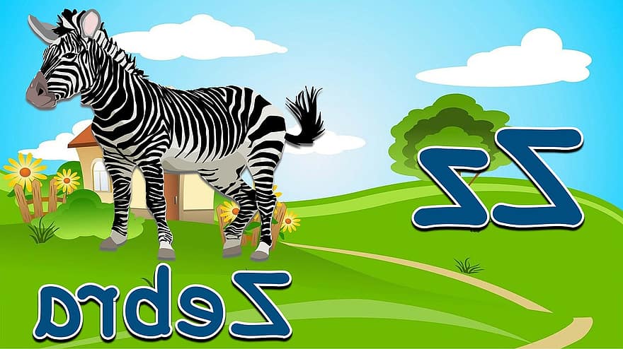 huruf z, alfabet, zebra, bacaan, ejaan, fonetik, pengajaran, kartu flash