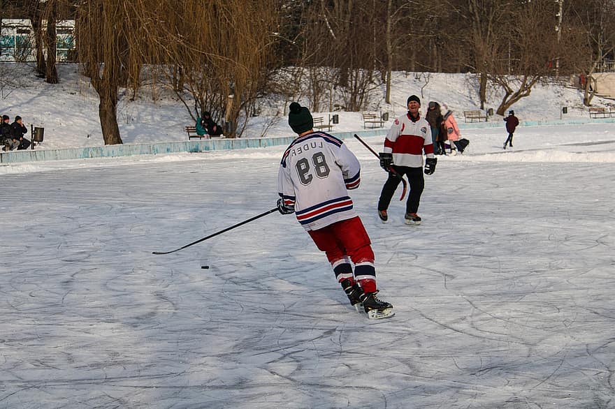 sport, hokej, zimowy, mężczyzna, trening, czynność, aktywny, gra