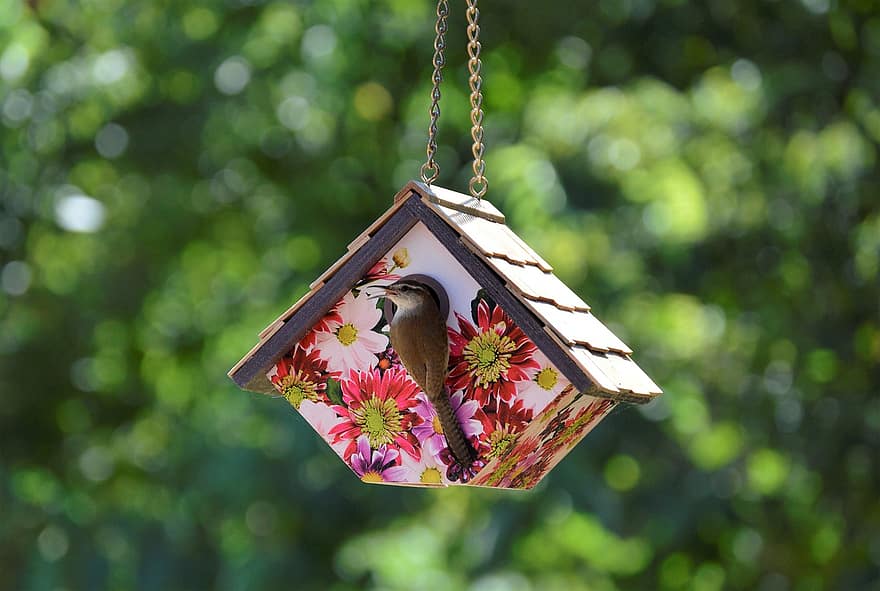 Birdhouse, Bird, Garden, Spring, Nature, Nest, Floral