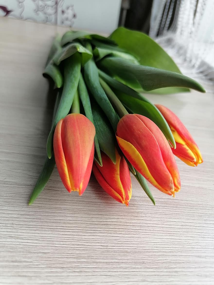 tulipány, kytice, kytice tulipánů, tulipán, květ, svěžest, rostlina, zelená barva, květu hlavy, dřevo, okvětní lístek