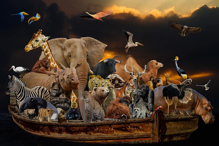 eläimet, uskonto, Nooan arkki, tulva, vene, pelastaa, norsu, kirahvi, seepra, leijona, tiikeri