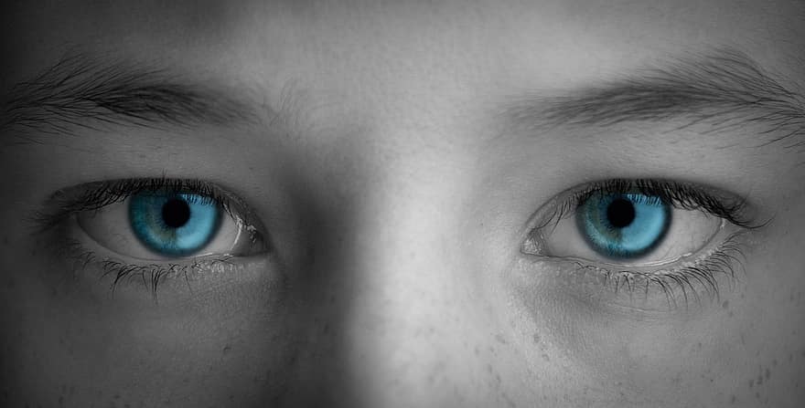 глаза, синий, видение, взгляд, ресницы, брови, Ирис, макрос, крупный план, человеческий глаз, голубые глаза