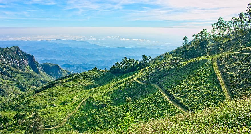 Velna kāpnes, Šrilankas kalni, Šrilankas tējas īpašums, kalns, virsotne, akmens, dekorācijas, mežs, skatuvisks, fona, zils