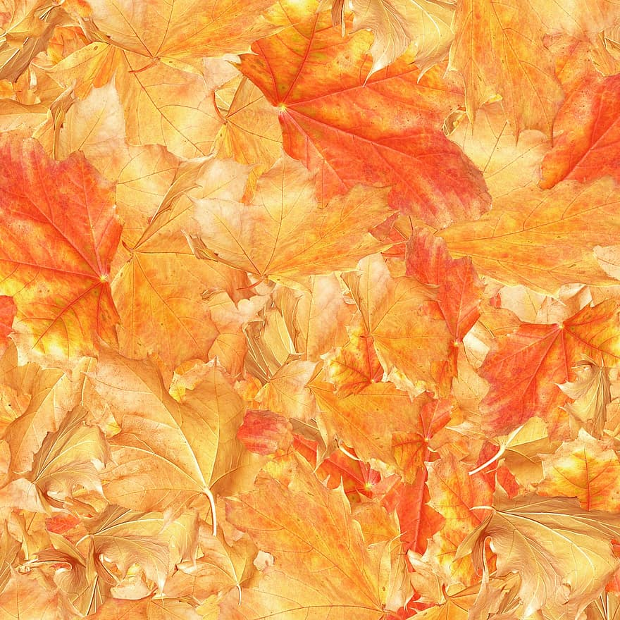 Herbstblätter, Blätter, Laub, Hintergrund, Herbst, Herbstfarben, Tapete, fallen, Blatt, Gelb, Hintergründe