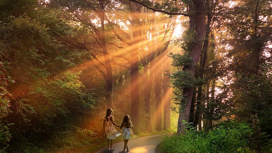 forêt, le coucher du soleil, les enfants, chemin, route, marche, des gamins, des arbres, lumière du soleil, rayons de soleil, la nature