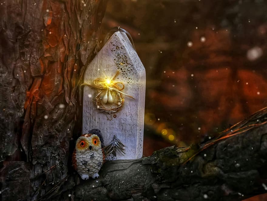 Owl, House, Magic, Story, Forest, Postcard