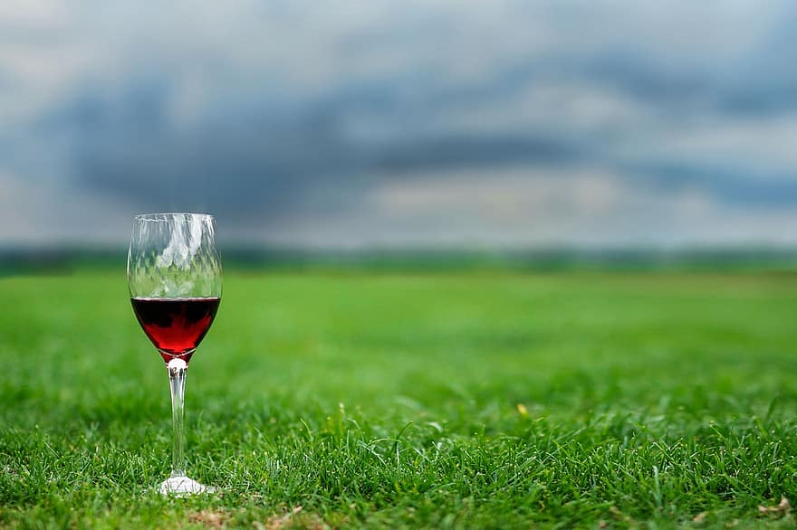 стъкло, вино, питие, чаша, освежаване, алкохол, течност, небе, ливада