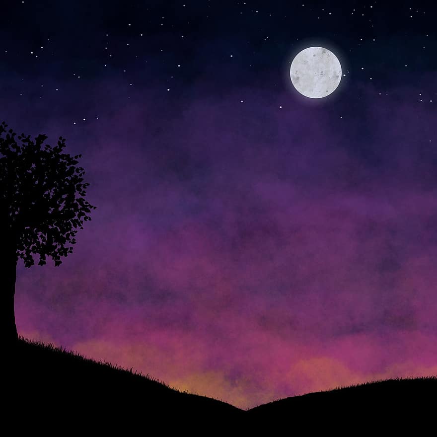 tramonto, Alba lunare, silhouette, Luna, Luna piena, albero, cielo, natura, stelle, notte, galassia