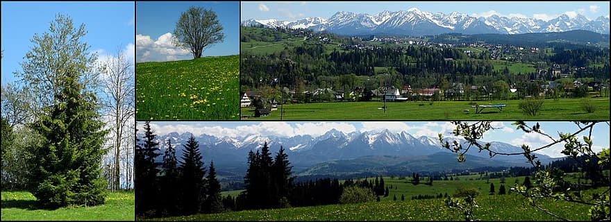 collage, bergen, tatry, turism, polen, landskap, natur