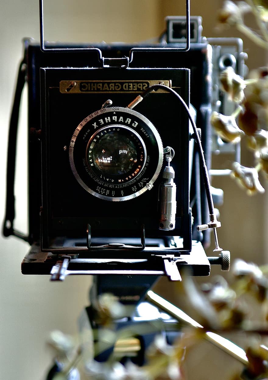 cámara, lente, término análogo, trípode, obturador, óptico, fotografía, atención, película, equipo, vendimia