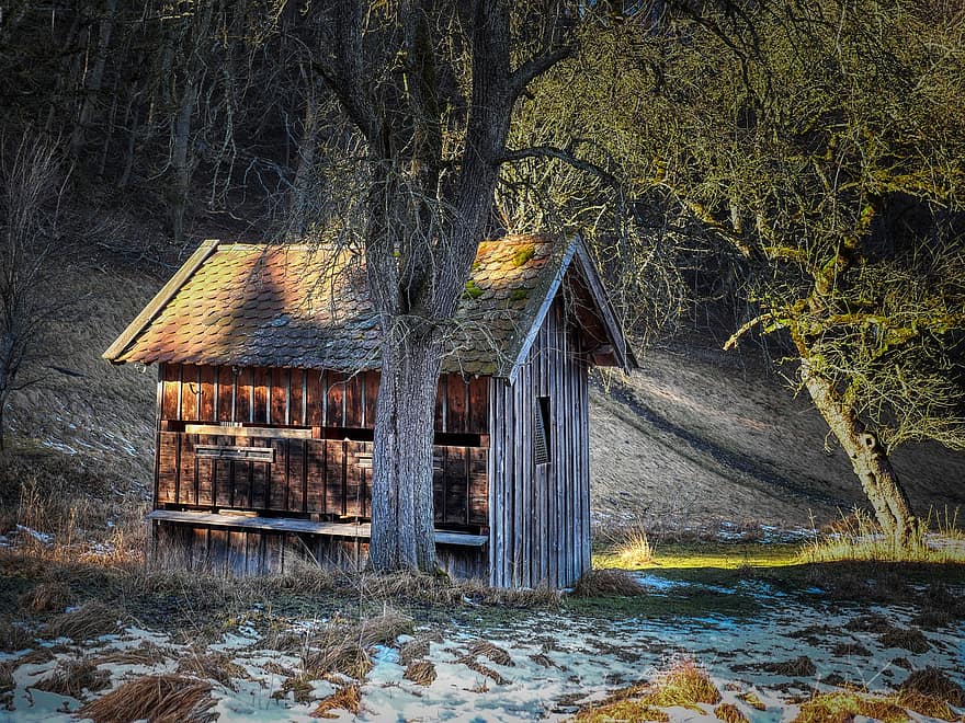 winter, hut, huis, houtschuur, bomen, Bos, buitenshuis, hout, boom, landelijke scène, oud