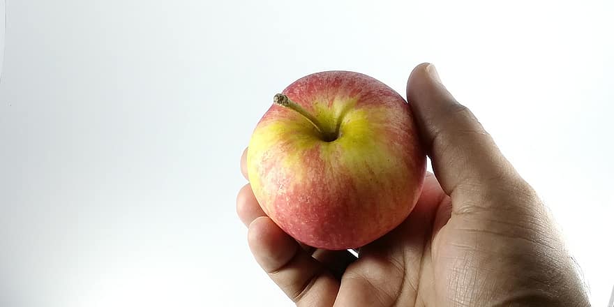 poma, poma fresca, produir, collita, orgànic, mà, Mà Sostenint Una Poma, fruita fresca, saludable