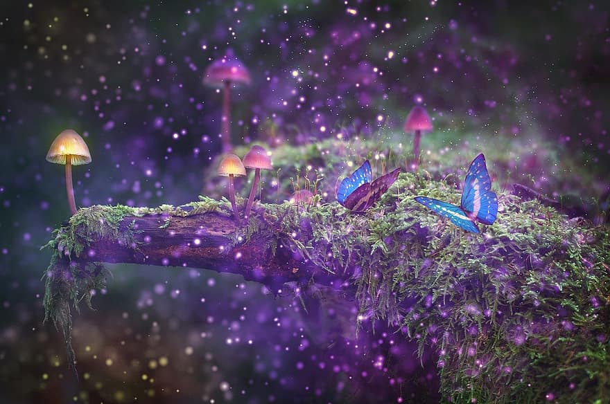 метелики, гриби, ліс, мох, комахи, мухомори, дерево, фантазія, магія, мрія, природи