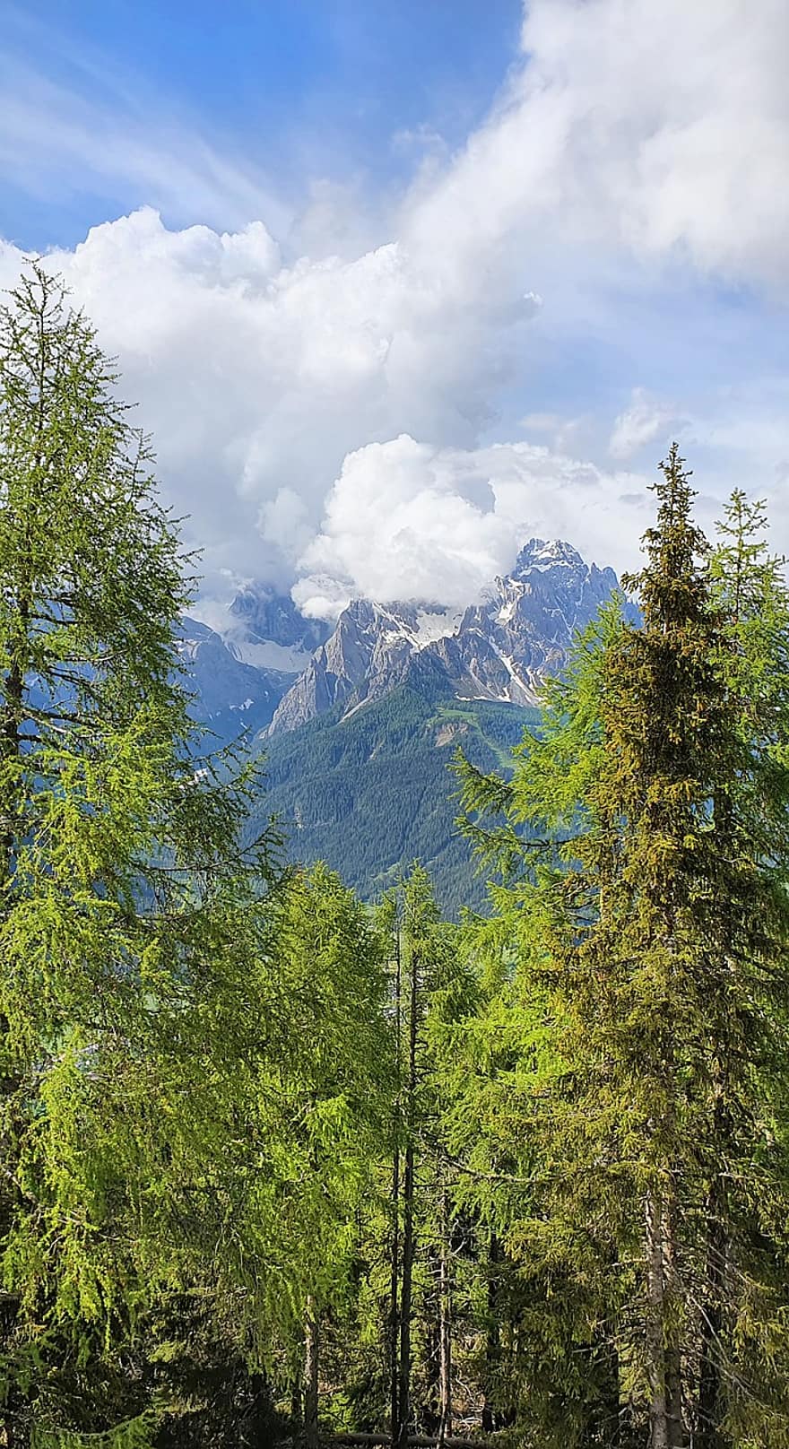 Alpes, arboles, maleza, bosque, alpino, cordillera, montañas, montañoso, al aire libre, naturaleza