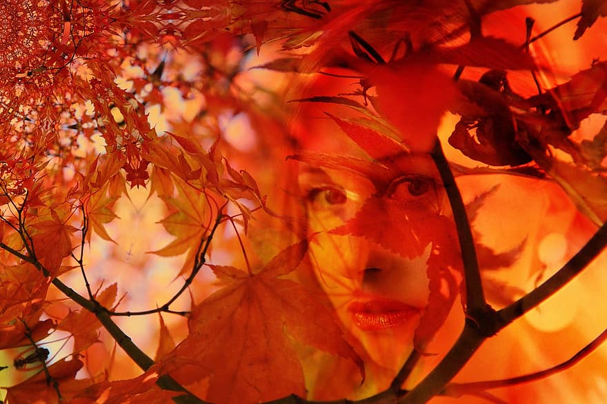 femeie, față, frunze, copac, toamnă, octombrie, textură, scrapbooking