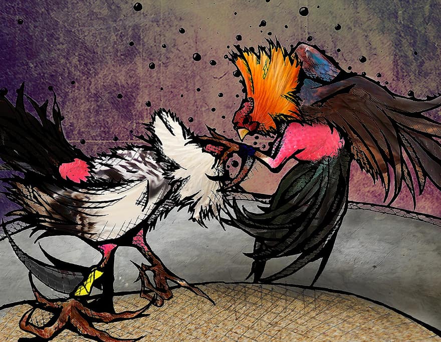 Illustration, Roosters