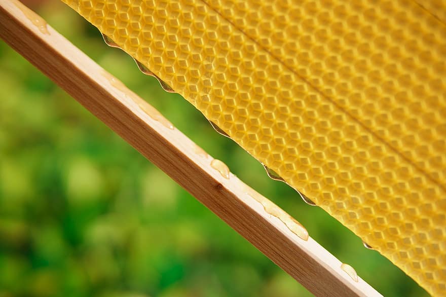 honning, honeycomb, apiary, gylden, mat, søt, organisk, naturlig, nærbilde, tre, gul