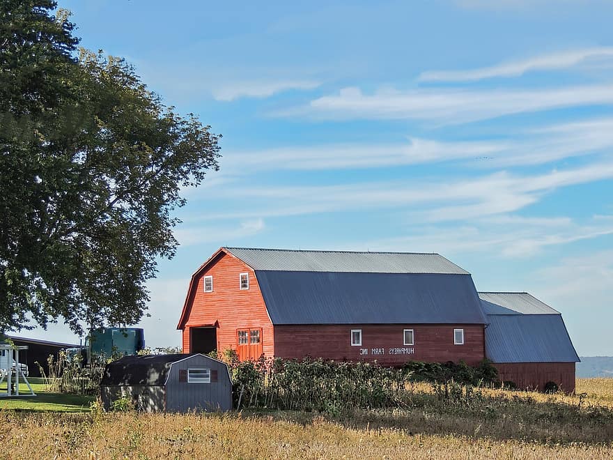Farm, Barn, Red, Red Barn, Rural, Countryside, Country, Nature, Agriculture, Landscape, Rustic