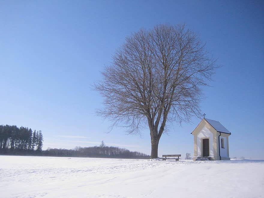 Fältkapell, vinter-, snö, kapell, nakna träd, frost, kall, natur, winters, kristendom, träd