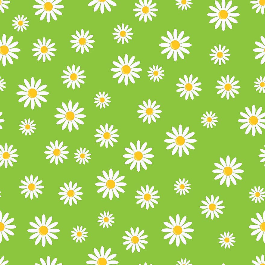 Daisy, Flowers, Floral, Wallpaper, Paper, Background, Backdrop, Seamless, Daisies, Green, Yellow