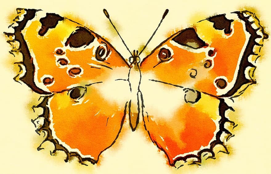 Watercolour, Watercolor, Paint, Blend, Ink, Animal, Bug, Insect, Wild, Wildlife, Butterfly