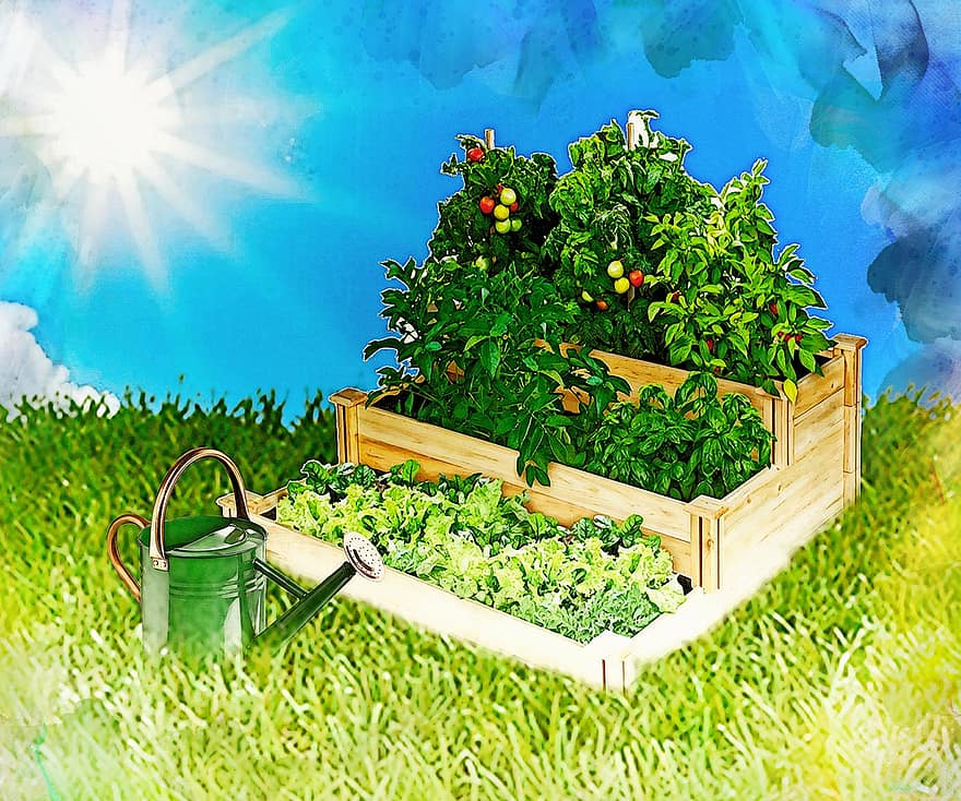 градина, градинарство, зеленчукова градина, пружина, растения