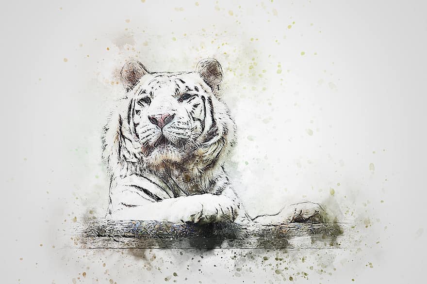 Tiger, weißer Tiger, Tier, Kunst, abstrakt, Aquarell, Jahrgang, künstlerisch, T-Shirt, Farbspritzer, digitale Kunst