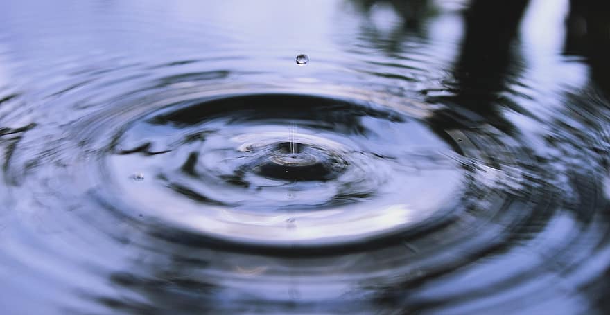 Water, Ripple, Splash, Liquid, Wave, Drop, Rings, Surface, Droplet, Reflection, Drip
