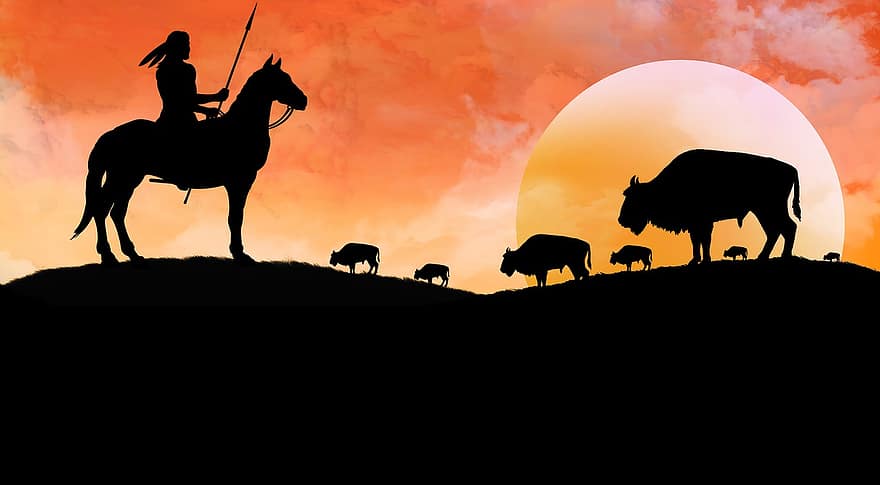 Native American, Animals, Silhouette, Horse, Bison, American Indian, Horseback Riding, Horse Riding, Rider