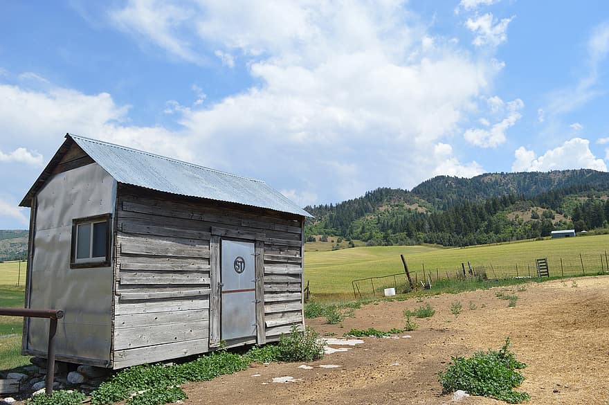 Schuppen, Bauernhof, coop, Mini-Haus, Idaho, landet, Feld, Natur, ländliche Szene, Sommer-, Gras