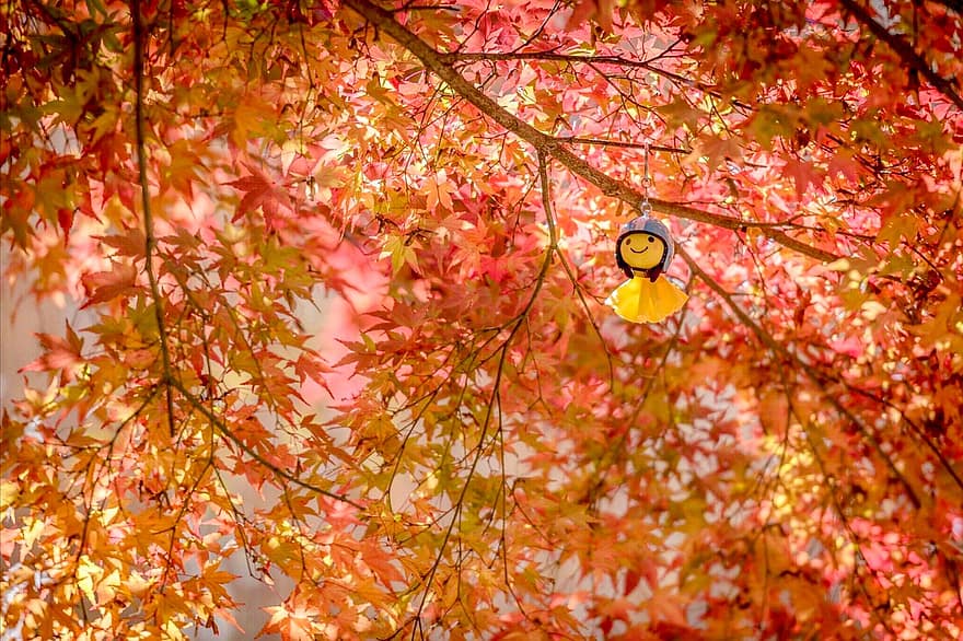 teru teru bozu ، دمية المطر ، خشب القيقب ، معلقة ، دمية مصنوعة يدوياً ، تقليدي ، التقليد ، شجرة ، الخريف ، خريف ، اليابان